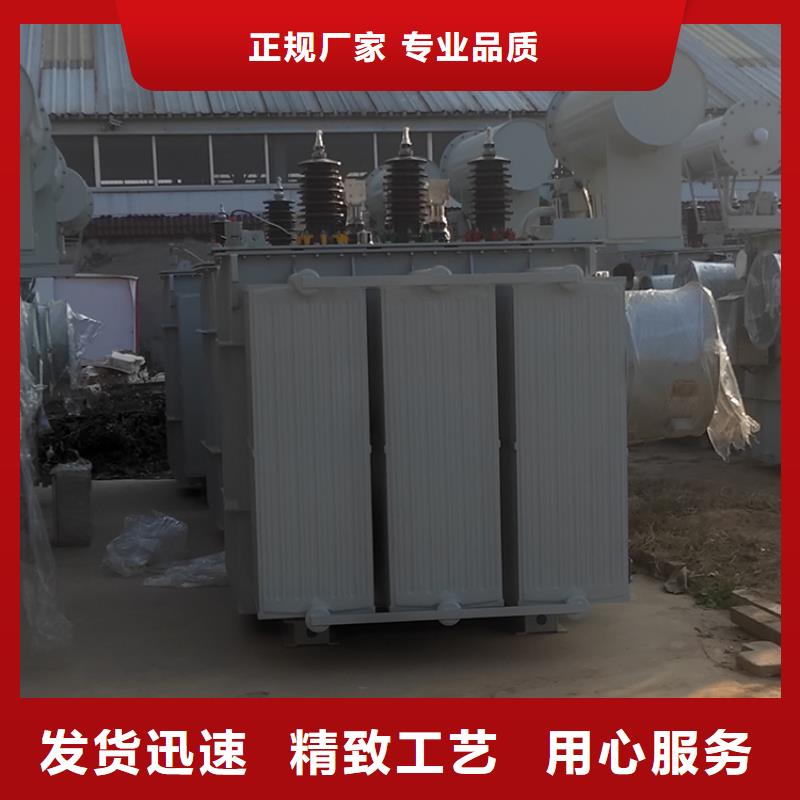 油浸式变压器,E型三相变压器品质无所畏惧