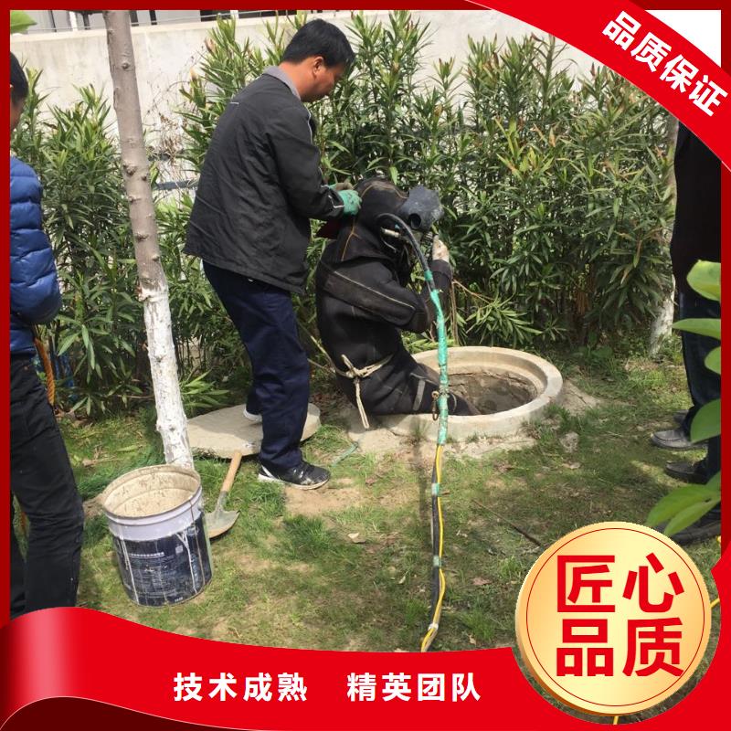 <水下安装拆除队伍>当地蛙人服务队