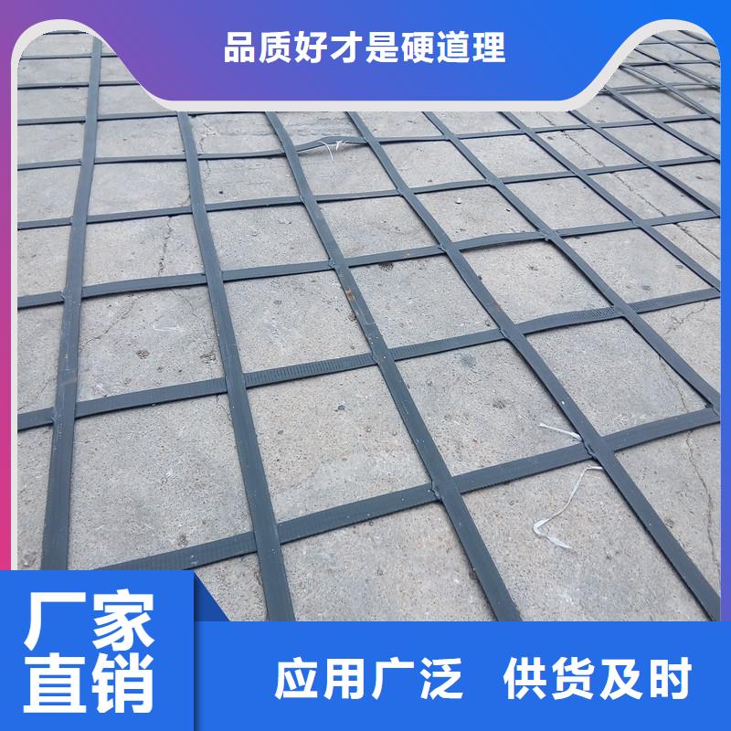 钢塑土工格栅批发价