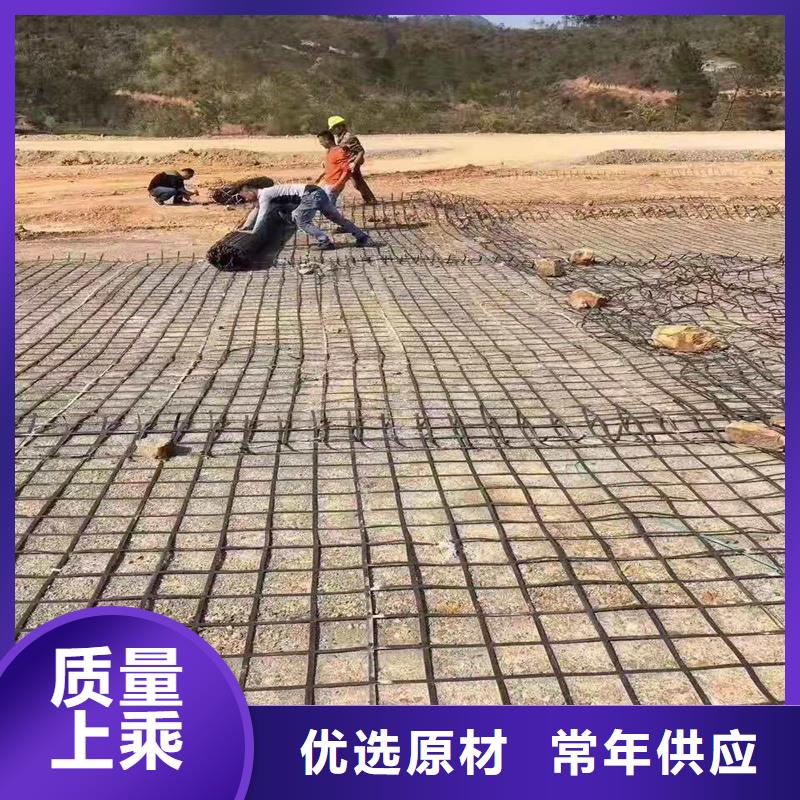 土工格栅现货价格