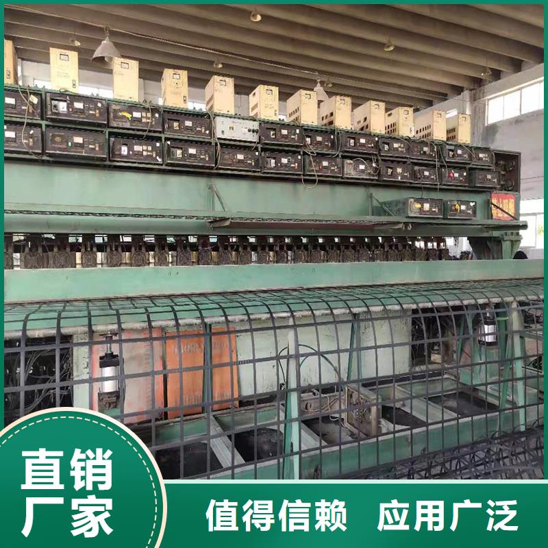 双向土工格栅报价