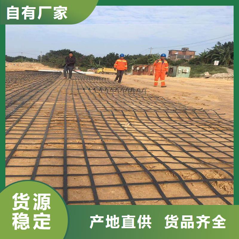 钢塑格栅厂家直销