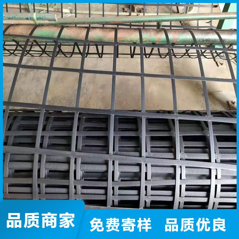 钢塑土工格栅批发