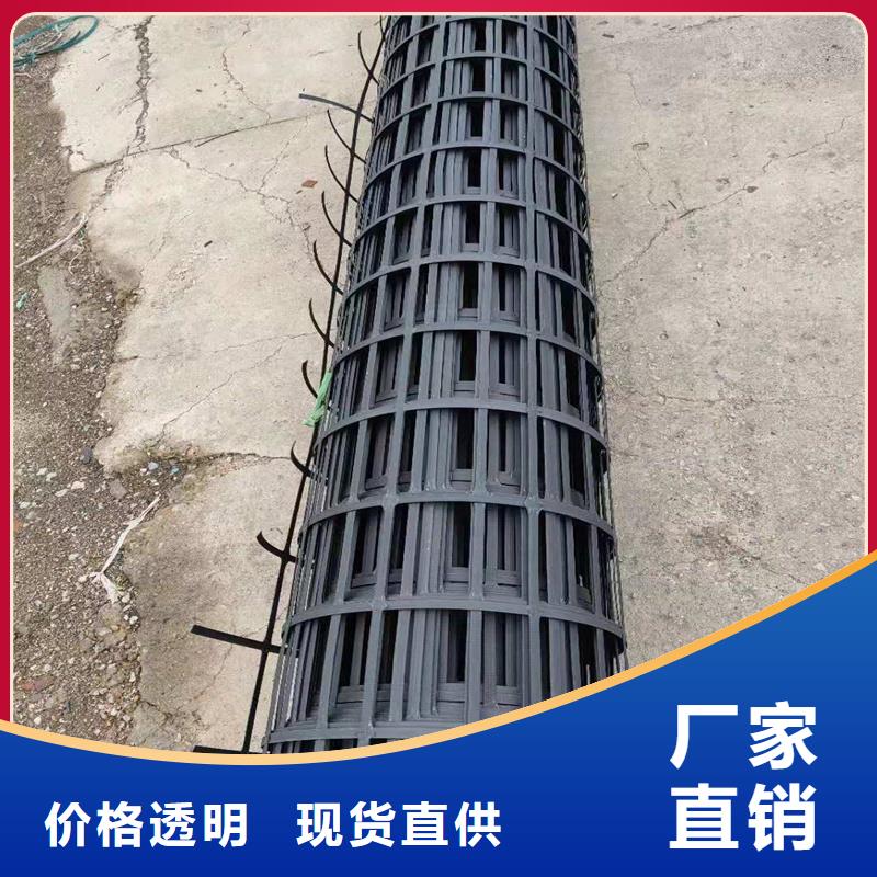 【土工格栅-三维植被网品质之选】
