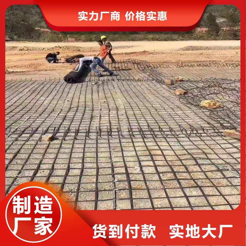 单向土工格栅型号齐全