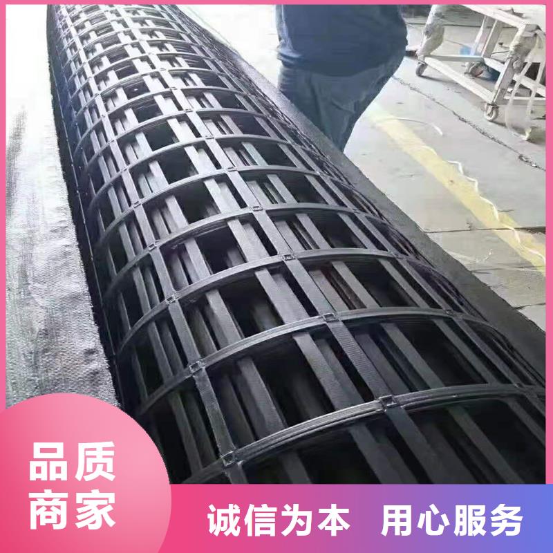钢塑土工格栅批发