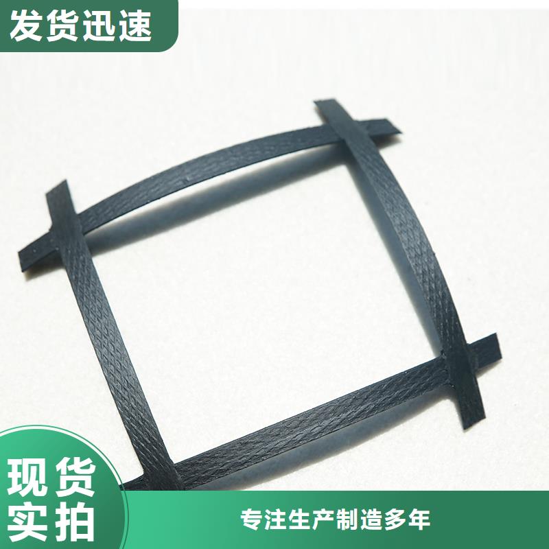 双向土工格栅批发价