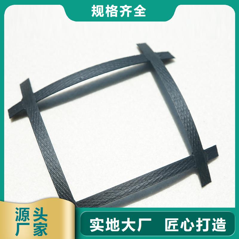 钢塑格栅全国发货