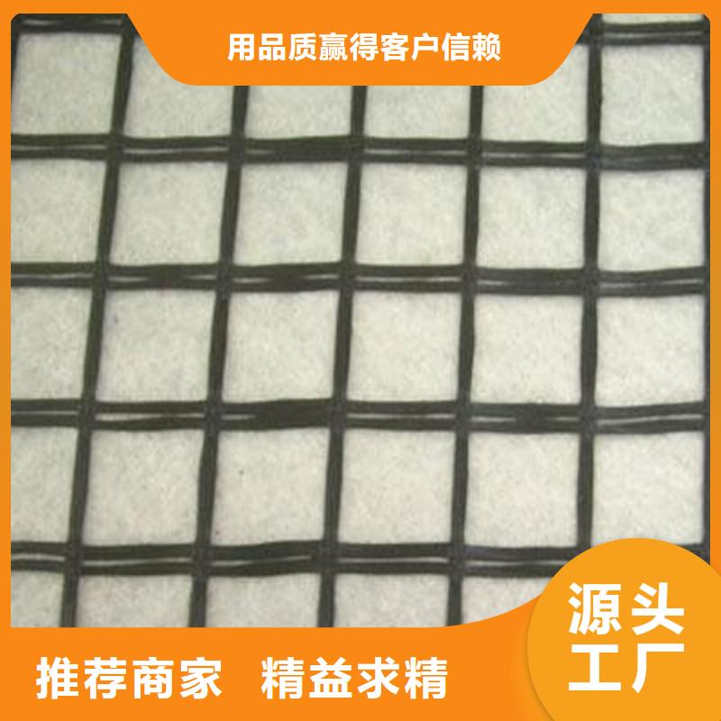 双向土工格栅价格