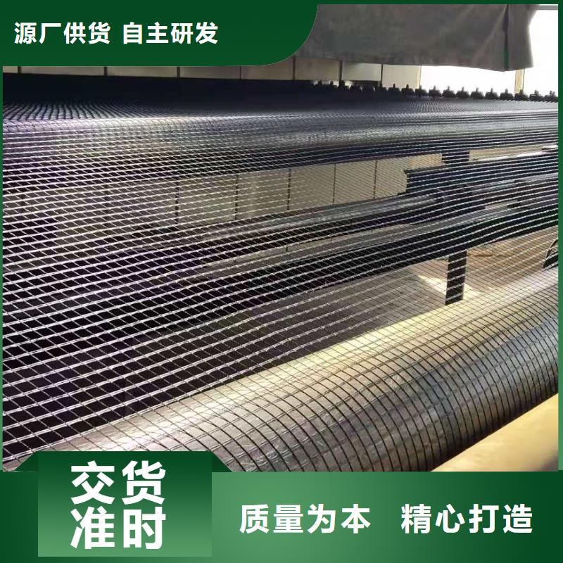 双向钢塑土工格栅价格