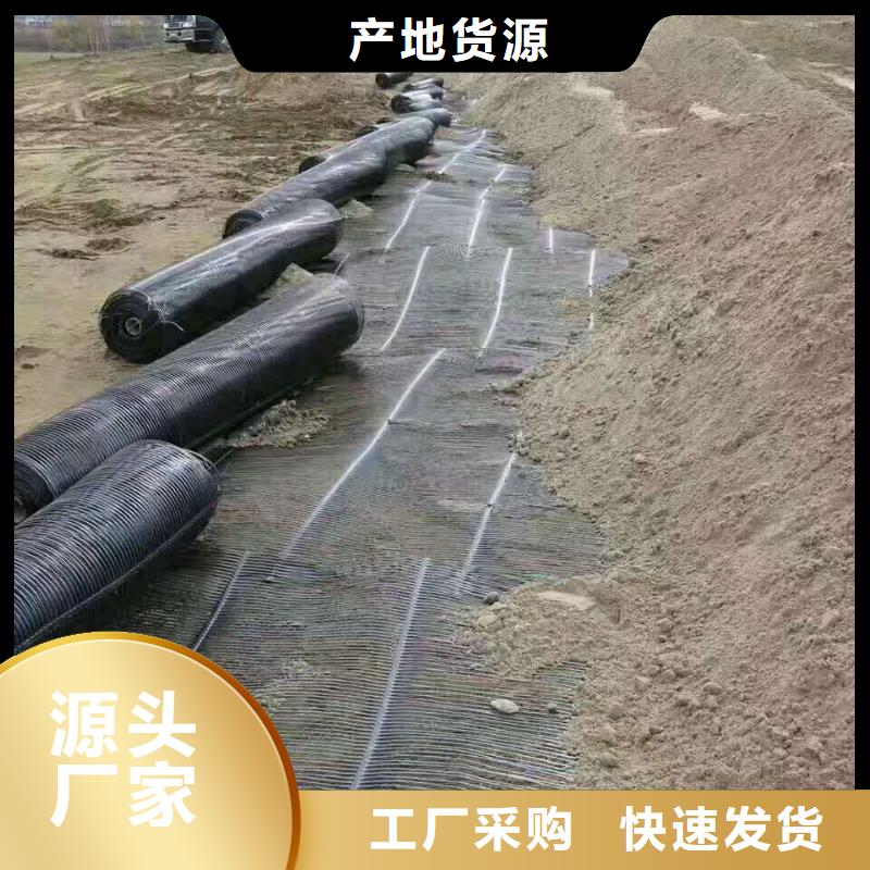 钢塑土工格栅厂家现货