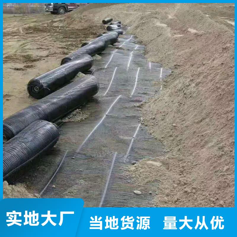 塑料土工格栅厂家现货