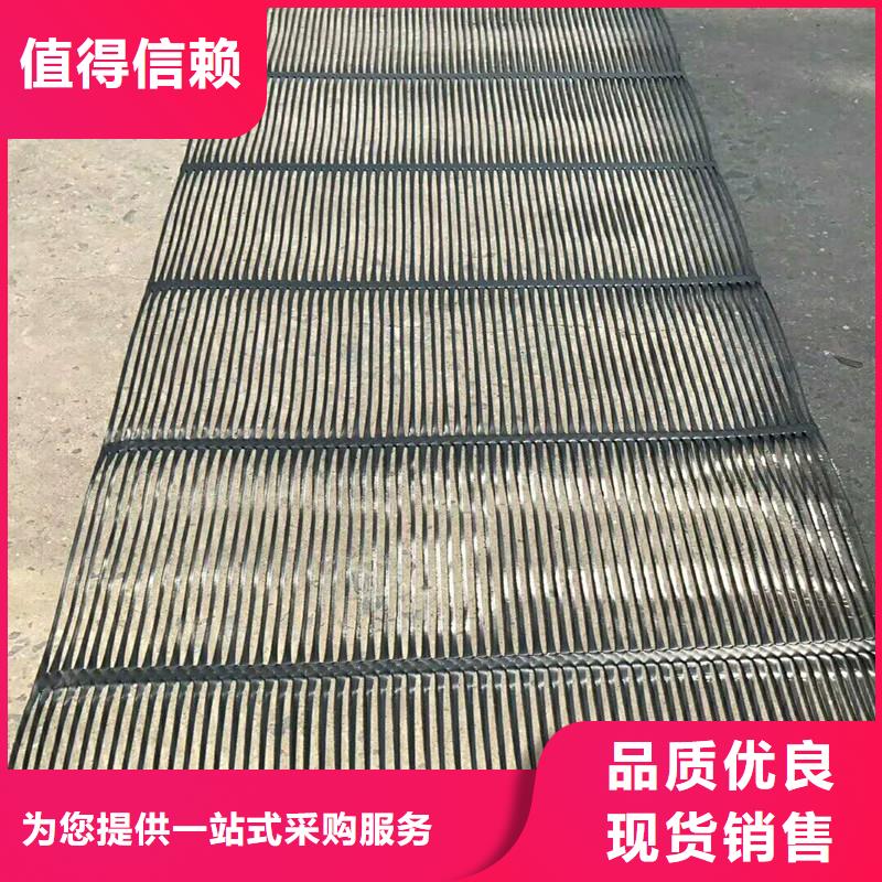 双向塑料土工格栅生产厂家
