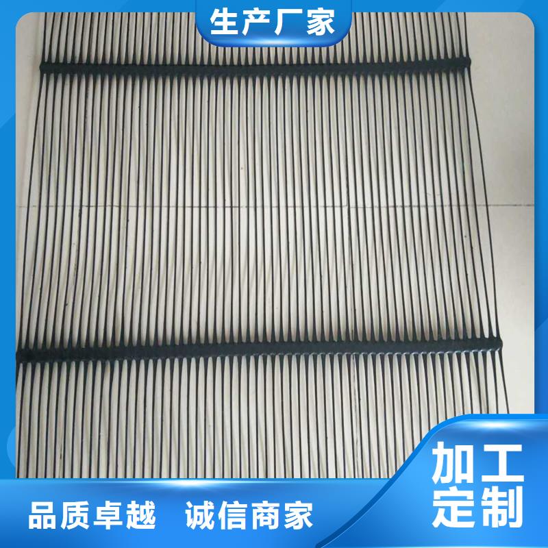 双向塑料土工格栅厂家直销
