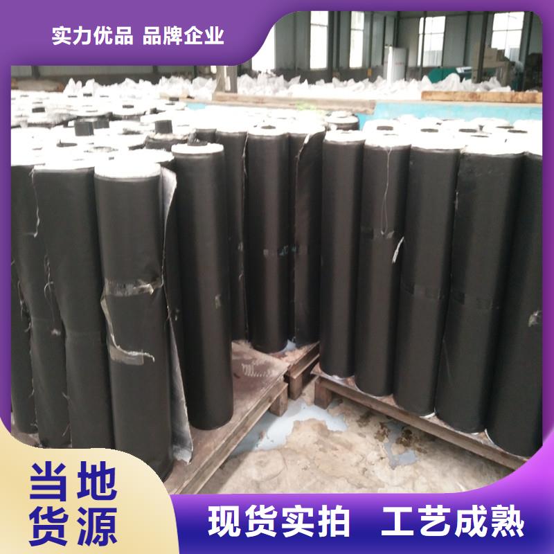 钢塑土工格栅正规厂家