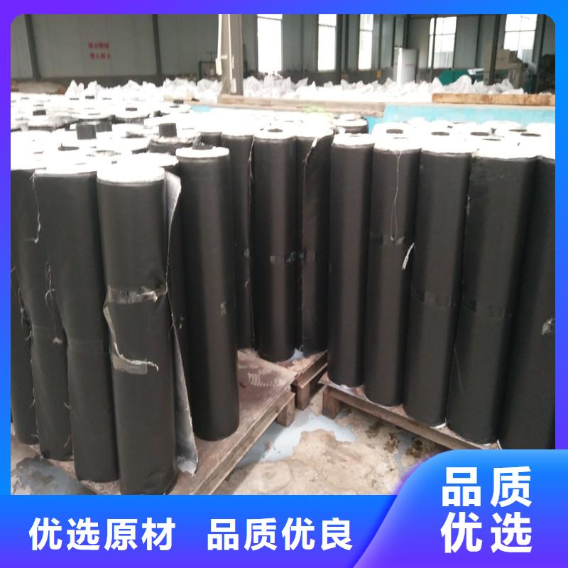 双向土工格栅单价