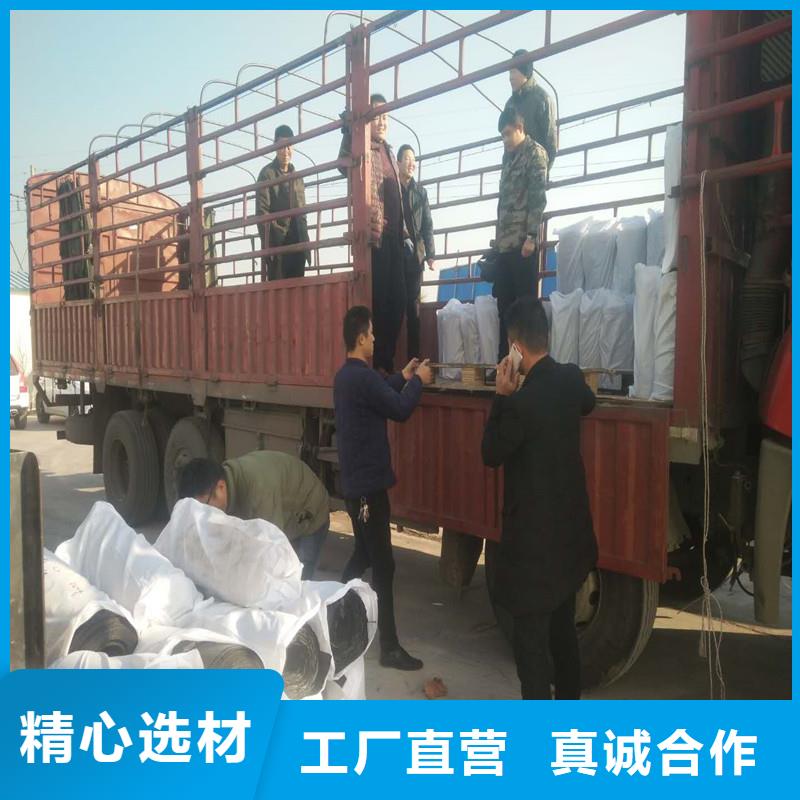 双向塑料土工格栅价格