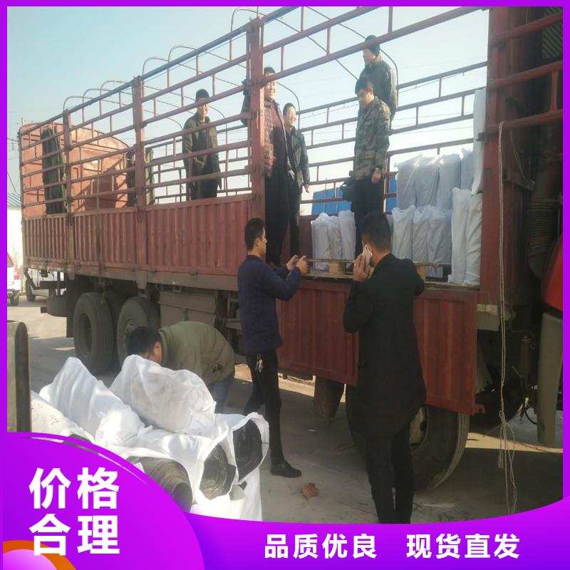 钢塑土工格栅供应商