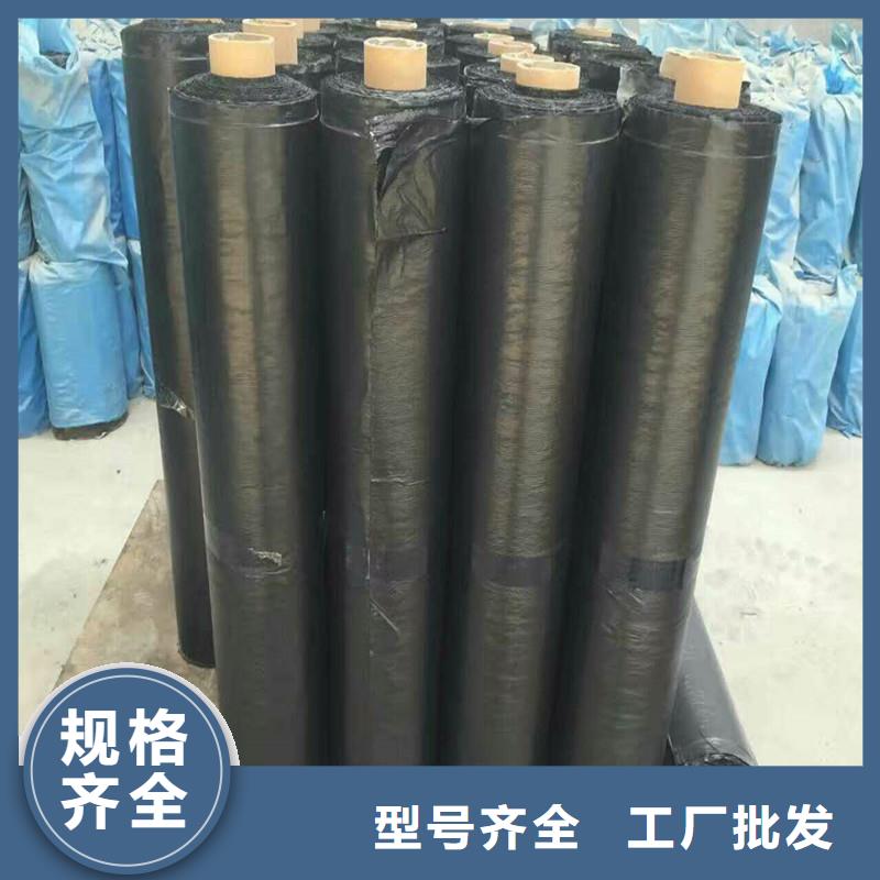 钢塑格栅报价