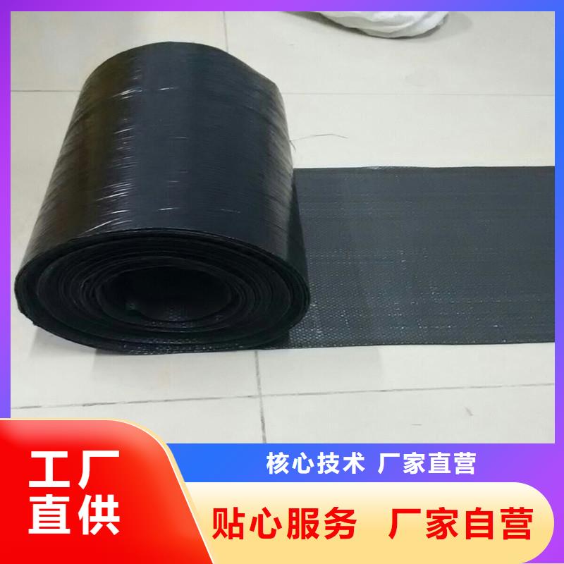 塑料土工格栅生产基地