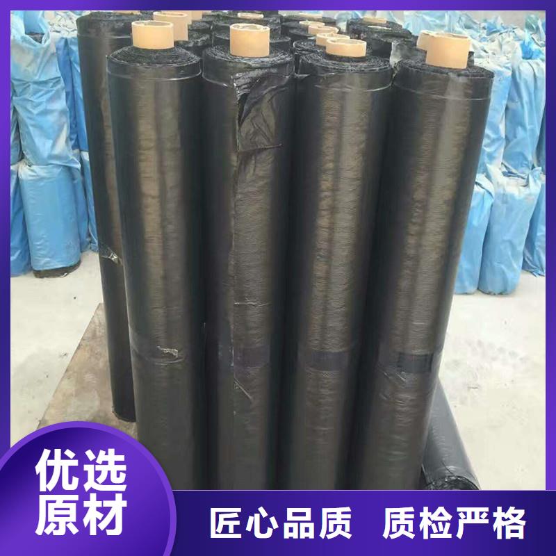 双向钢塑土工格栅厂家现货
