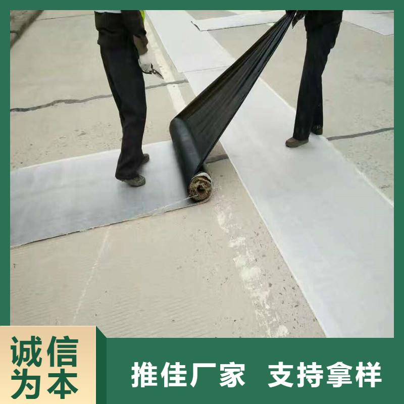 双向塑料土工格栅批发