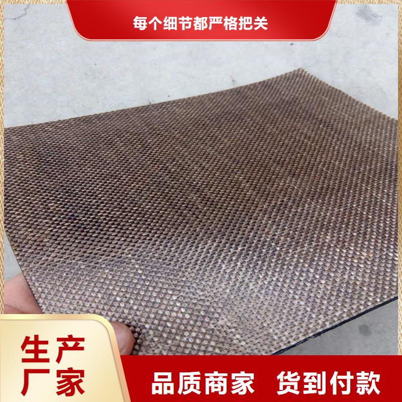 钢塑土工格栅实力厂家
