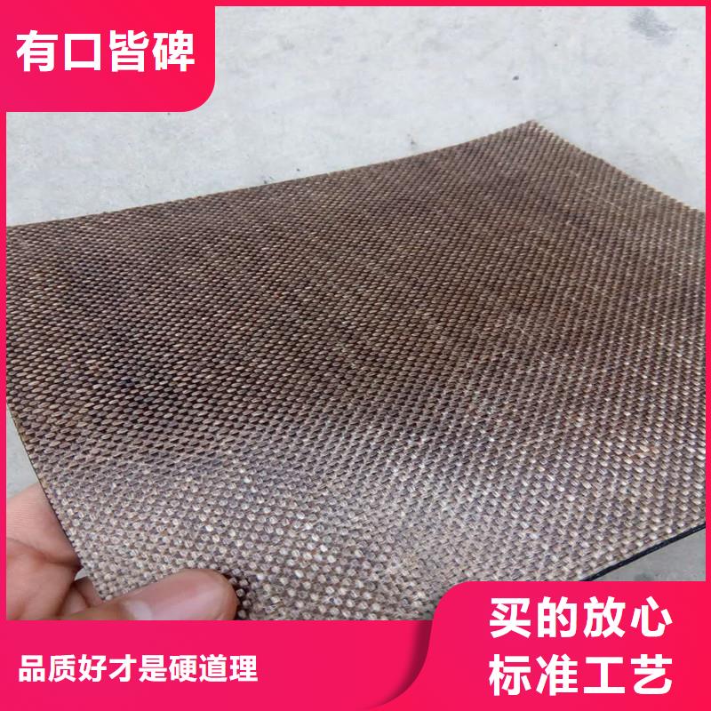 钢塑焊接土工格栅厂家