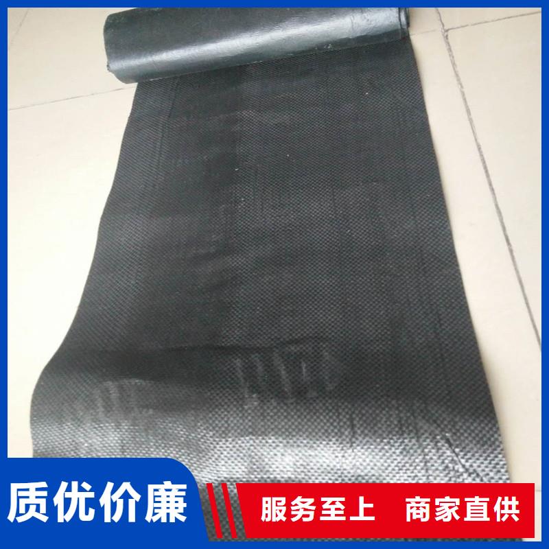 土工格栅\抗裂贴双向土工格栅价格实惠工厂直供