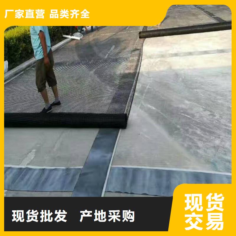 土工格栅\抗裂贴双向土工格栅价格实惠工厂直供