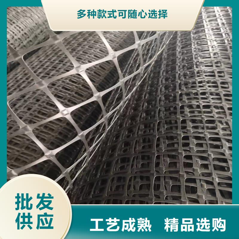 玻纤土工格栅价格实惠