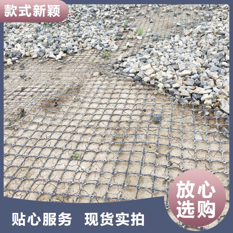 塑料土工格栅实力厂家