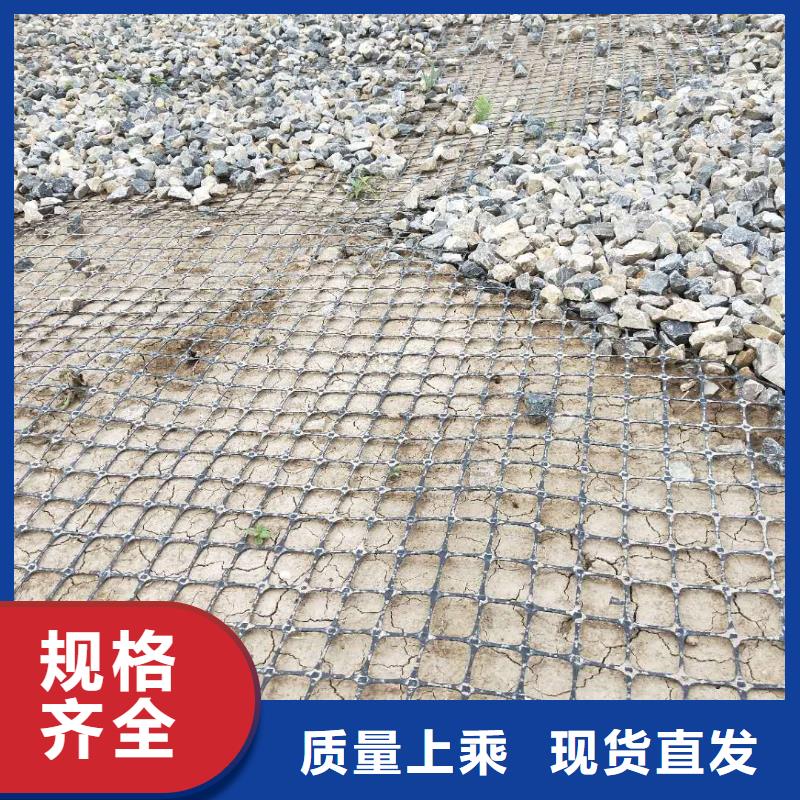 防裂贴源头厂家