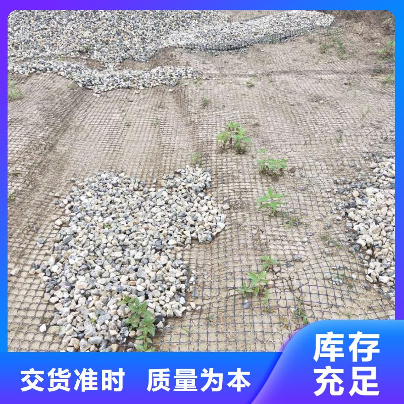 塑料土工格栅生产厂家