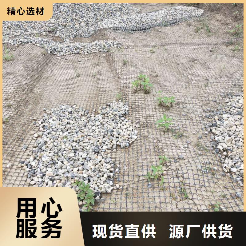 双向钢塑土工格栅厂家现货