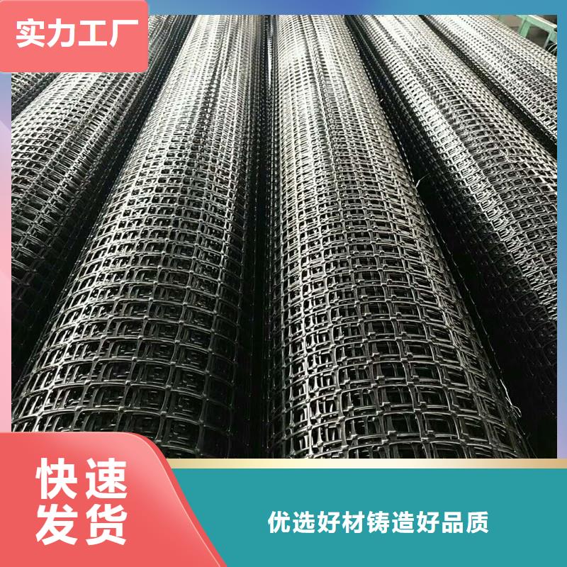 钢塑土工格栅厂家