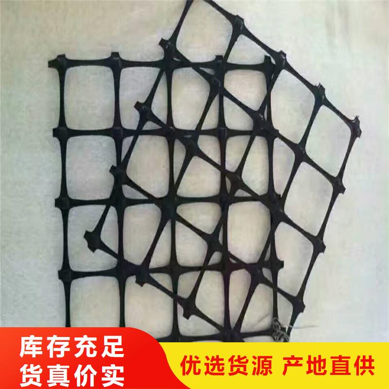 钢塑土工格栅厂家现货
