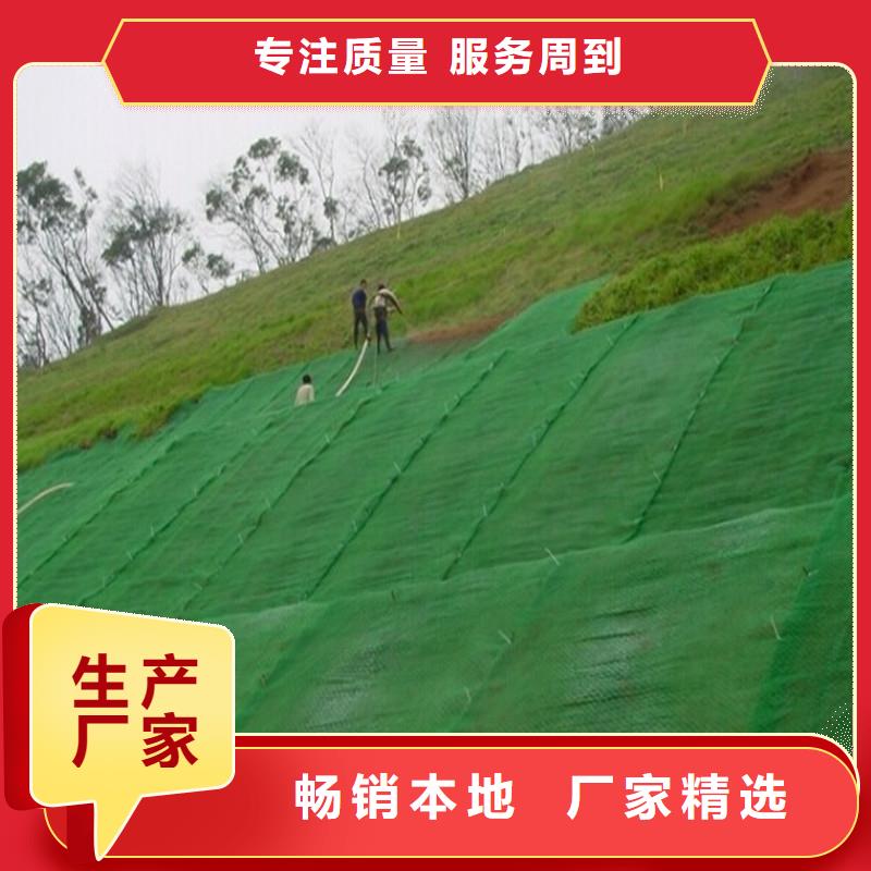 土工布钢塑土工格栅市场报价
