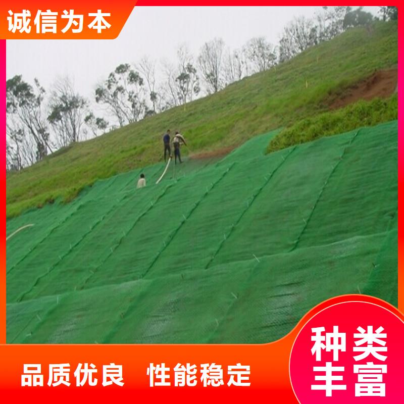 土工布玻纤格栅诚信厂家
