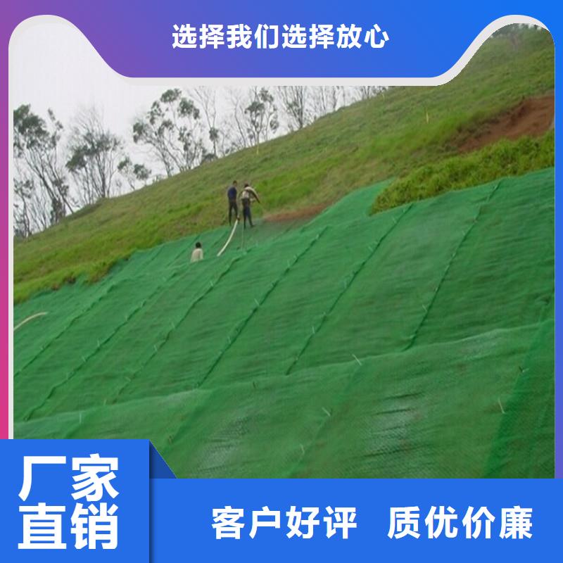 土工布螺旋管欢迎来电询价