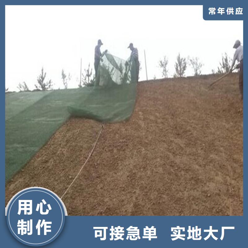 复合土工膜单价