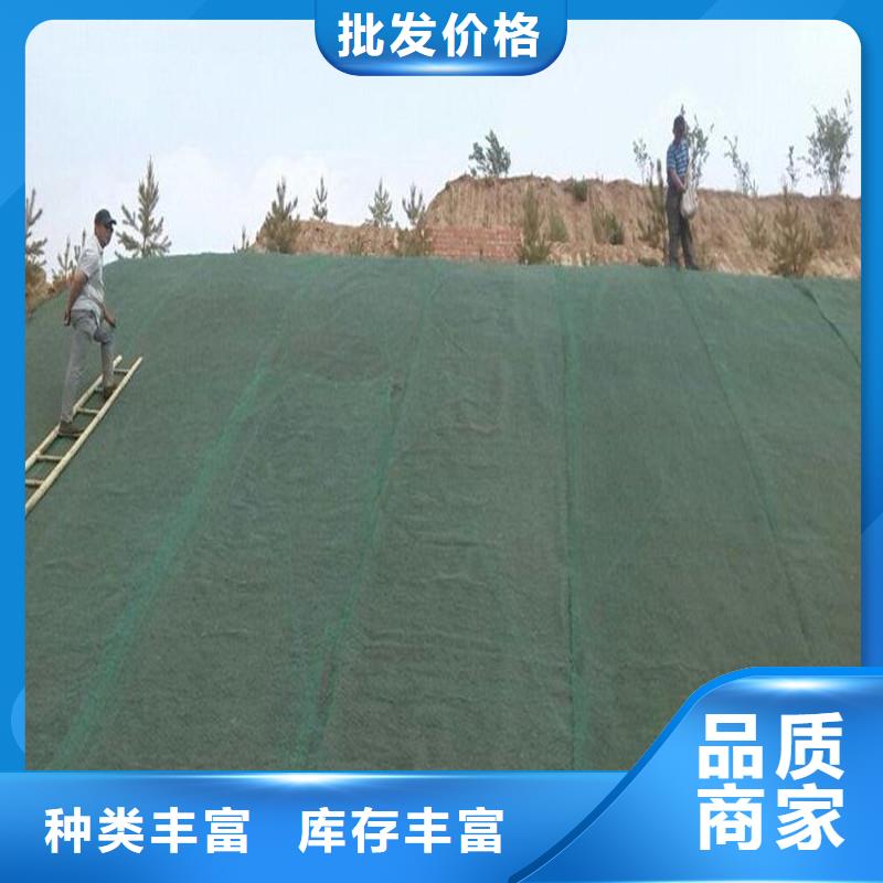 土工布编织布技术先进
