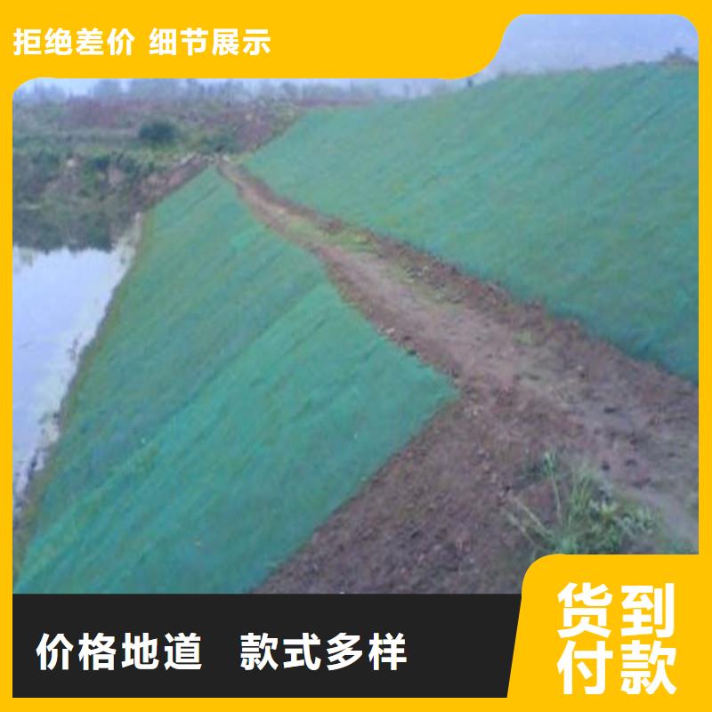 土工布玻纤格栅诚信厂家