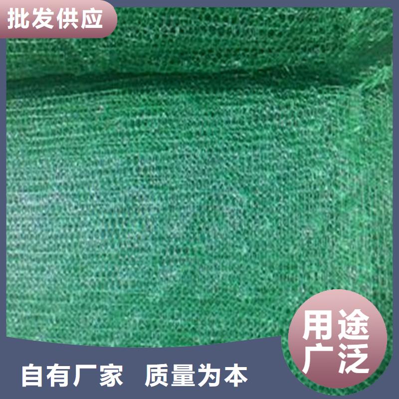 土工布玻纤土工格栅常年出售