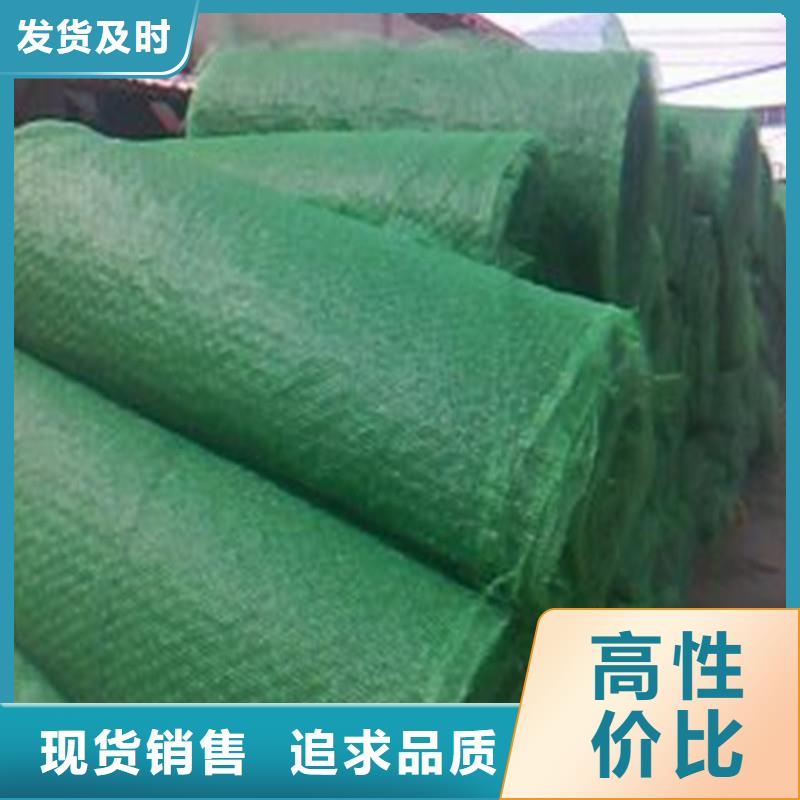 土工布玻纤土工格栅实力见证