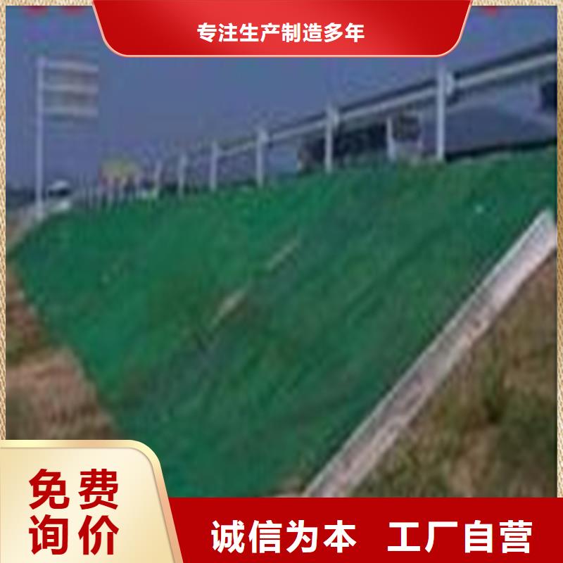 【土工布】塑料玻纤格栅现货实拍