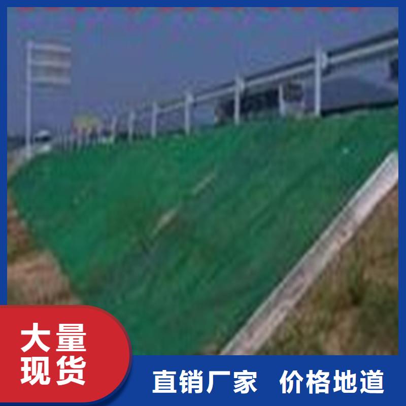 土工布车库顶板排水板生产经验丰富