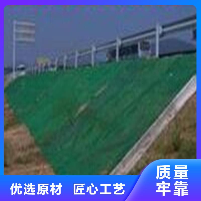 复合土工布厂家