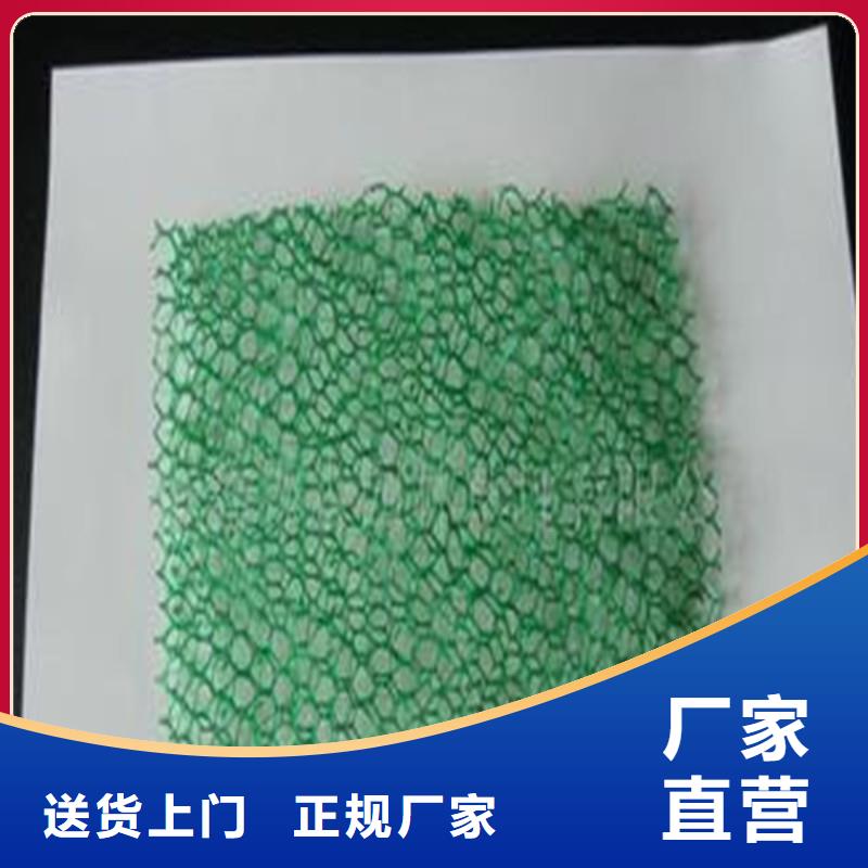 土工布玻纤格栅诚信厂家