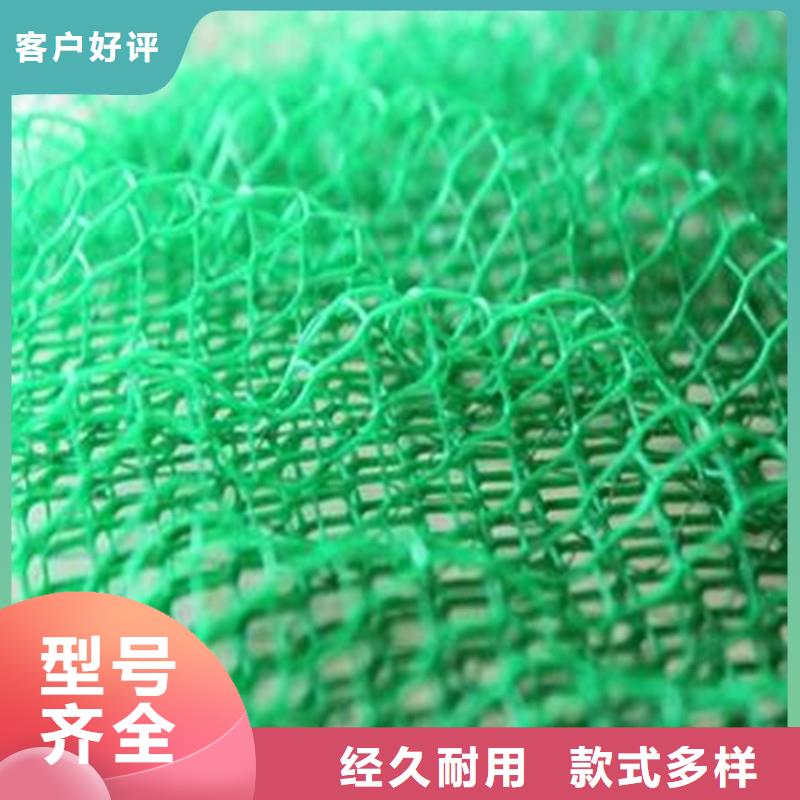 土工布-玻纤土工格栅制造厂家